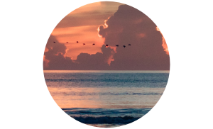 napis na plaży Good Vibes Only